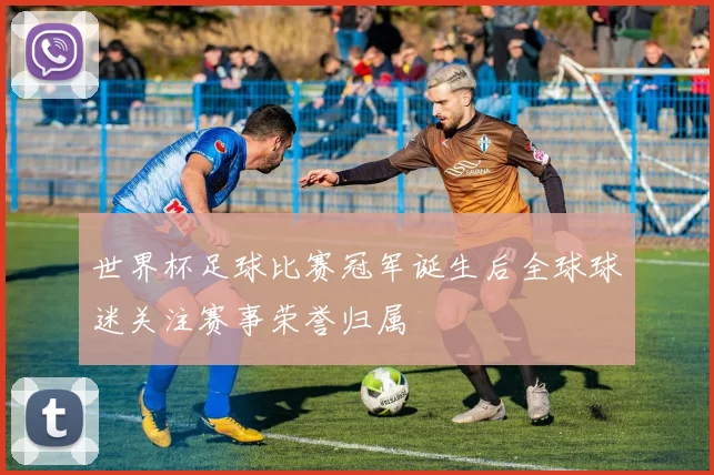 世界杯足球比赛冠军诞生后全球球迷关注赛事荣誉归属