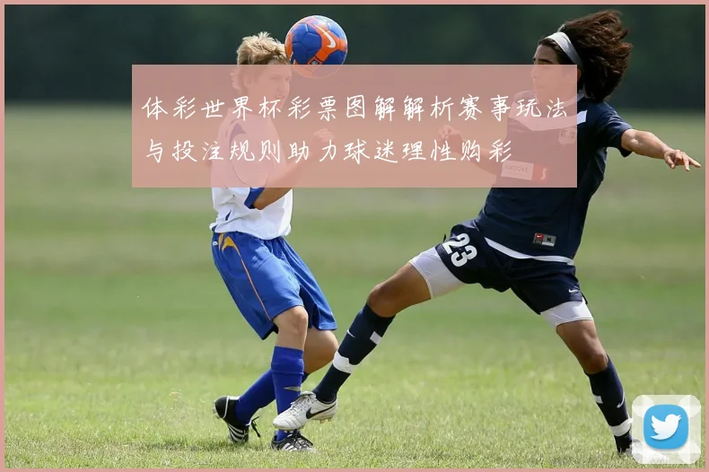 体彩世界杯彩票图解解析赛事玩法与投注规则助力球迷理性购彩