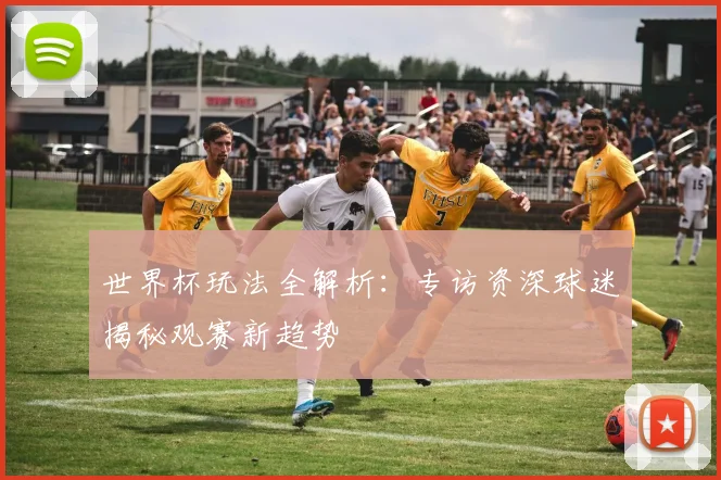 世界杯玩法全解析:专访资深球迷揭秘观赛新趋势