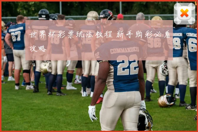 世界杯彩票玩法教程 新手购彩必看攻略