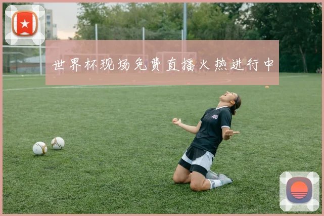 世界杯现场免费直播火热进行中