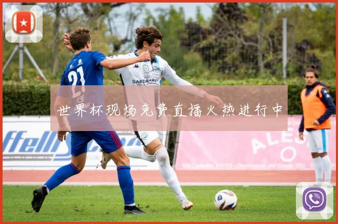 世界杯现场免费直播火热进行中